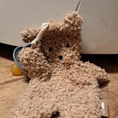 Knuffel がiLostに報告されました