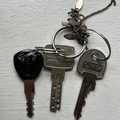 Sleutelbos (3 sleutels) がiLostに報告されました