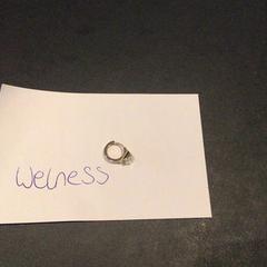 Prsten Earring, jak nahlášeno Van der Valk Hotel Amsterdam Zuidas pomocí iLost