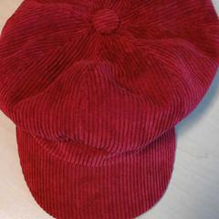 Rode dames pet rib, conforme relatado por Connexxion Zeeland usando o iLost