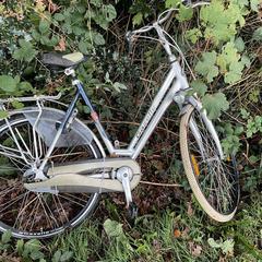 Fiets, como reportado ao iLost