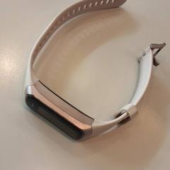 Orologio Roze band, come riportato da LUMC utilizzando iLost
