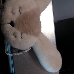 Plyšová hračka, ako bolo nahlásené IKEA Matosinhos pomocou iLost