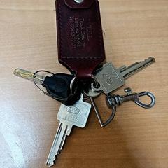 Chaveiro, como reportado por Gemeente Zutphen utilizando o iLost