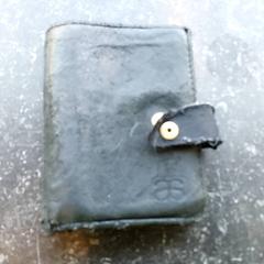 Card holder, as reported by Regio Antwerpen - Brussel using iLost