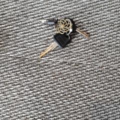 Keychain, as reported by Zwarte Cross (Gemeentehuis) using iLost