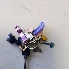 Klíče, jak nahlášeno Hermes Eindhoven pomocí iLost