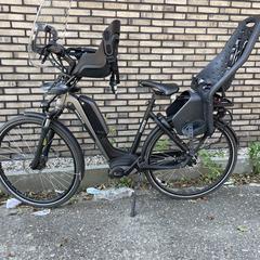 Sparta damesfiets (elektrisch), som rapporterats till iLost