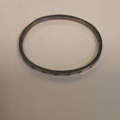 Bracelet, as reported by Diergaarde Blijdorp using iLost