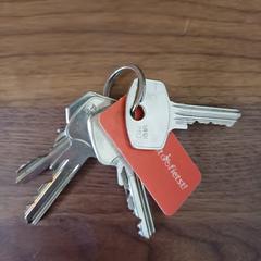 Sleutelbos, gerapporteerd met iLost