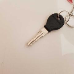 Sleutel, a été signalé par allGo Almere utilisant iLost