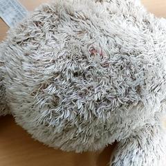 Různé - knuffel, jak nahlášeno Regio Antwerpen - Brussel pomocí iLost