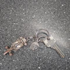 Sleutelbos 1 sleutel, gemeldet von Syntus Midden-Overijssel über iLost