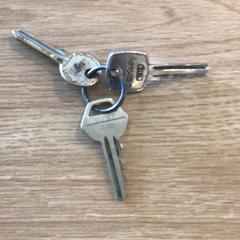 Nøkkel Zilver, som rapportert av Gemeente Alkmaar ved bruk av iLost