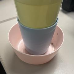Servies, as reported by Burgers' Zoo using iLost