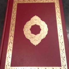 Koran, como reportado por Rotterdam The Hague Airport utilizando o iLost