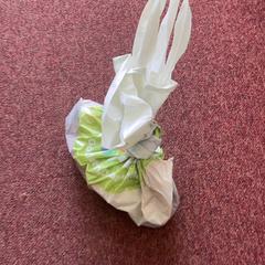 Plastic bag, as reported by Arriva Achterhoek-Rivierenland using iLost
