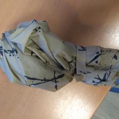 Paraplu, a été signalé par Hermes Eindhoven utilisant iLost