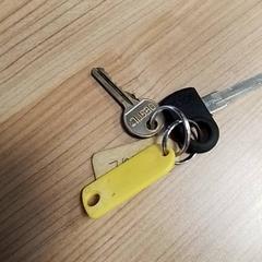 Chaveiro, como reportado por Hermes Eindhoven utilizando o iLost
