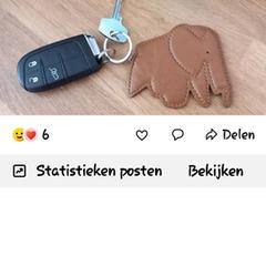 Autosleutel, ha sido reportado a iLost