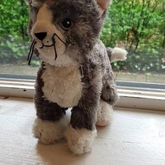 Plüss Kat, amint azt DierenPark Amersfoort az iLost segítségével jelentette.