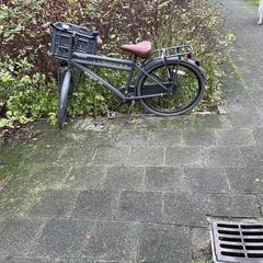 Fiets, come riportato a iLost