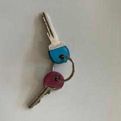 Keys, as reported by Gemeente Ede using iLost