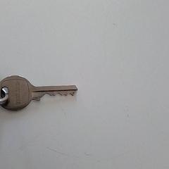 Nøkkel, som rapportert av ilévia ved bruk av iLost