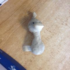 Knuffel, as reported by Dolfinarium using iLost