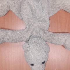 Teddy, jak nahlášeno Grand Hotel Amrath Kurhaus pomocí iLost
