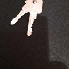 Sleutels, zoals gemeld door allGo Almere met iLost