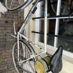 Fiets Gazelle 'Tour de France', ako bolo nahlásené iLost