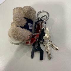 Kulcstartó kulcsokkal, amint azt TU/e - Receptie MetaForum az iLost segítségével jelentette.