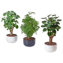 IKEA product, as reported by IKEA Montpellier using iLost