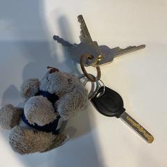 Chaves, como reportado por Gemeente Amsterdam utilizando o iLost