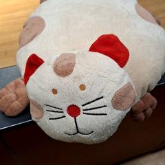 Almohadón, ha sido reportado por IKEA Paris Nord Roissy con iLost