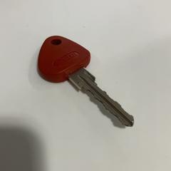 Llave Red bike key, ha sido reportado por TU/e - Receptie Atlas con iLost