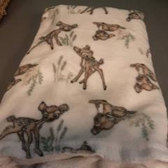 Baby blanket, as reported by Diergaarde Blijdorp using iLost