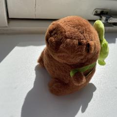 Capybara knuffel, iLost-i jakinarazi zaion moduan
