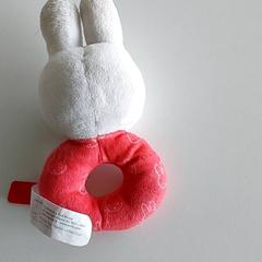 متنوع - Knuffel، كما تم الإبلاغ عنه بواسطة Regio Limburg - Leuven عبر iLost