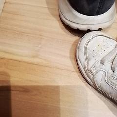Buty, zgłoszono przez Beekse Bergen Resorts en Hotel przy użyciu iLost