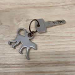 Chave, como reportado por IKEA Liège utilizando o iLost
