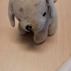 Peluche, como reportado por Zuyderland MC Sittard-Geleen utilizando o iLost