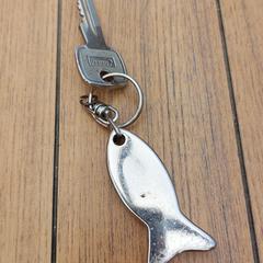 Sleutel met sleutelhanger vis, iLost에 보고됨