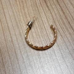Earring, as reported by Connexxion Haarlem AML using iLost