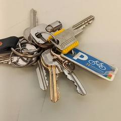 Chaveiro, como reportado por Transdev Gooi en Vechtstreek utilizando o iLost