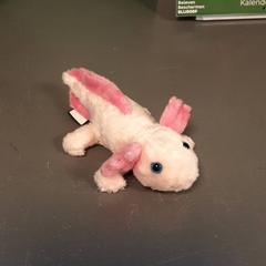 Peluche Roze, como reportado por Diergaarde Blijdorp utilizando o iLost