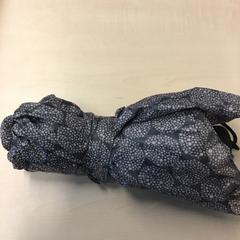 Paraplu, a été signalé par Gemeente Nijmegen utilisant iLost