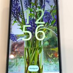 Telèfon Fairphone, segons ha informat Arriva Limburg Zuid mitjançant iLost