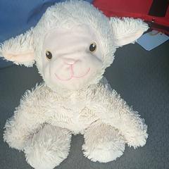 Cuddly bear, as reported by Regio Antwerpen - Brussel using iLost